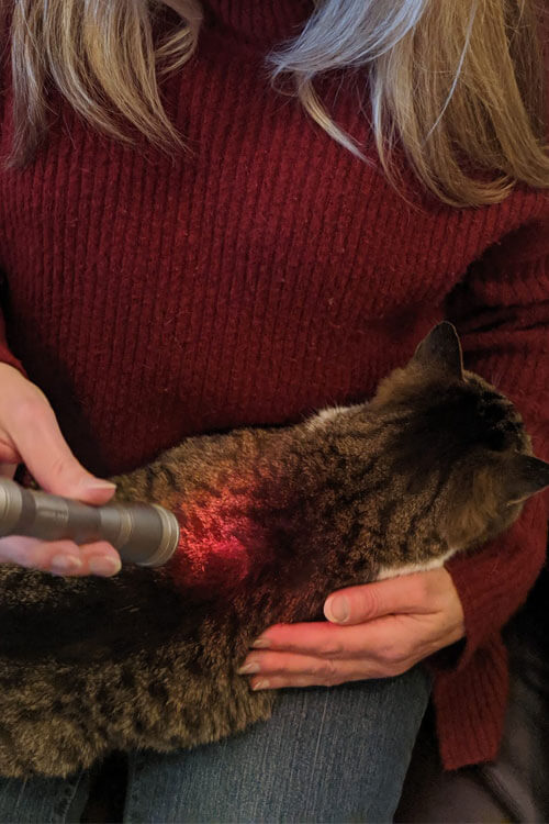 Carniosacral Carniosacral