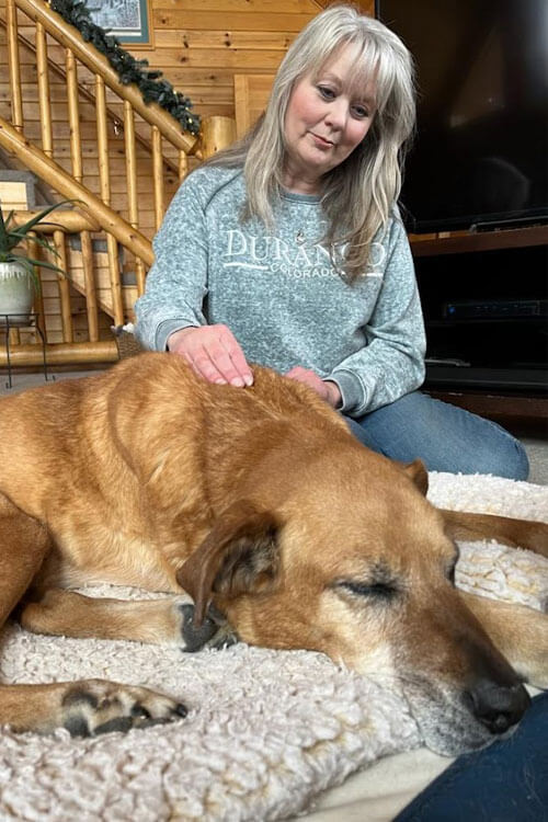 Healing Touch For Animals
