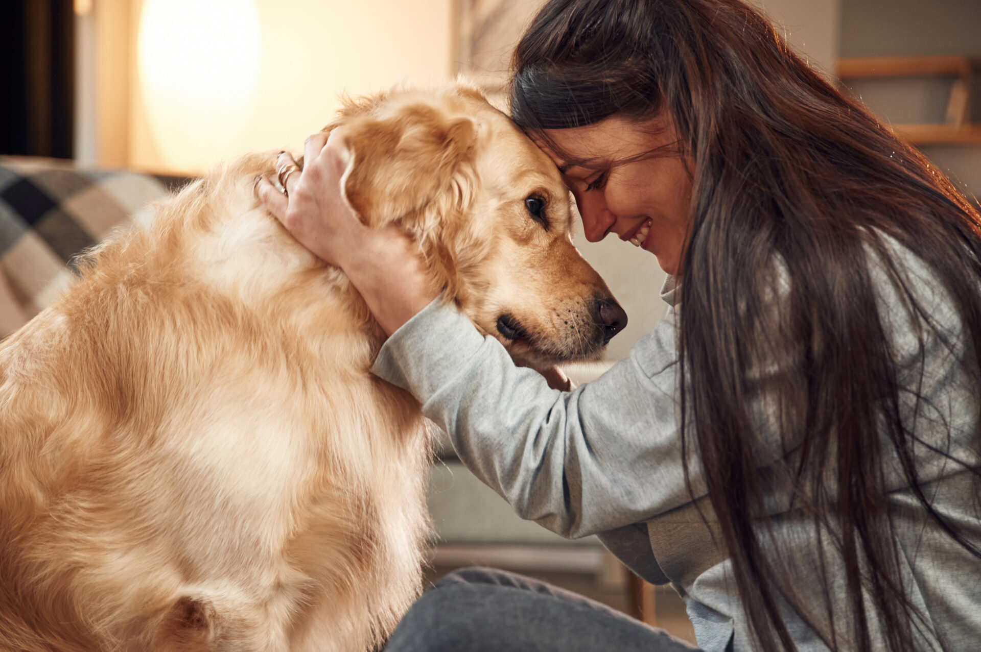 Close Up View, Portrait. Woman Is With Golden Retriever Dog At Home Close Up View, Portrait. Woman Is With Golden Retriever Dog At Home