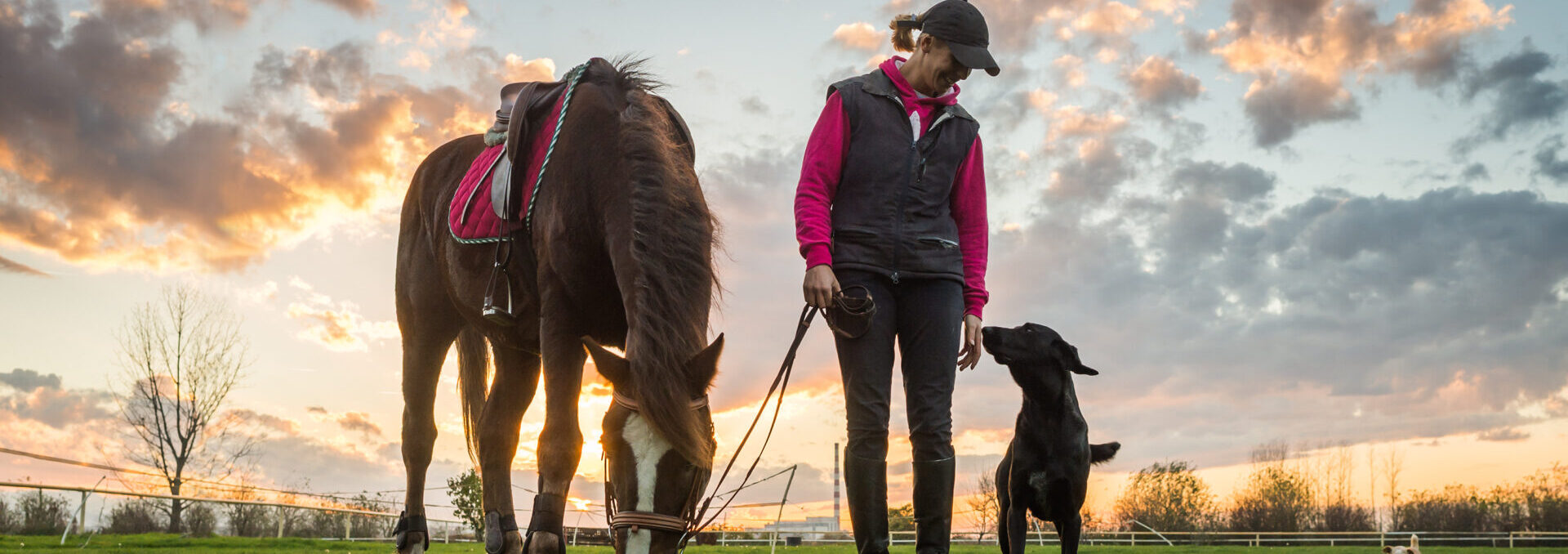 Girl And Horse Girl And Horse
